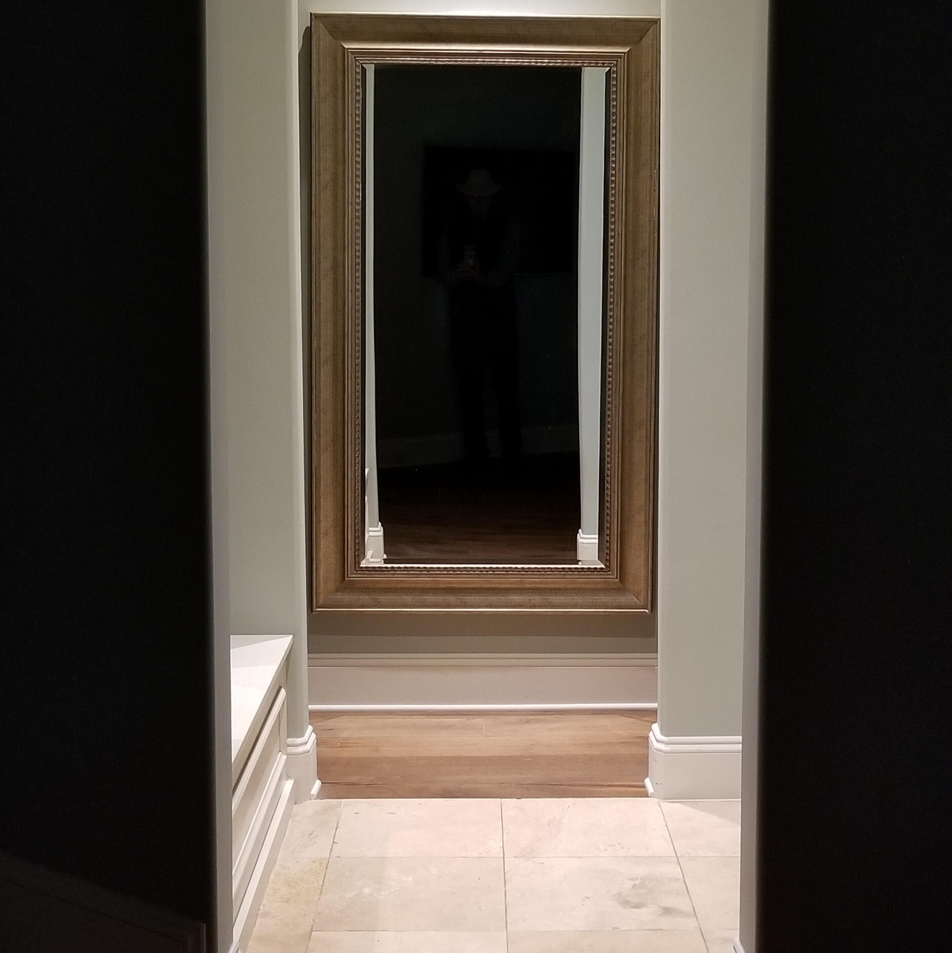 Closet mirror