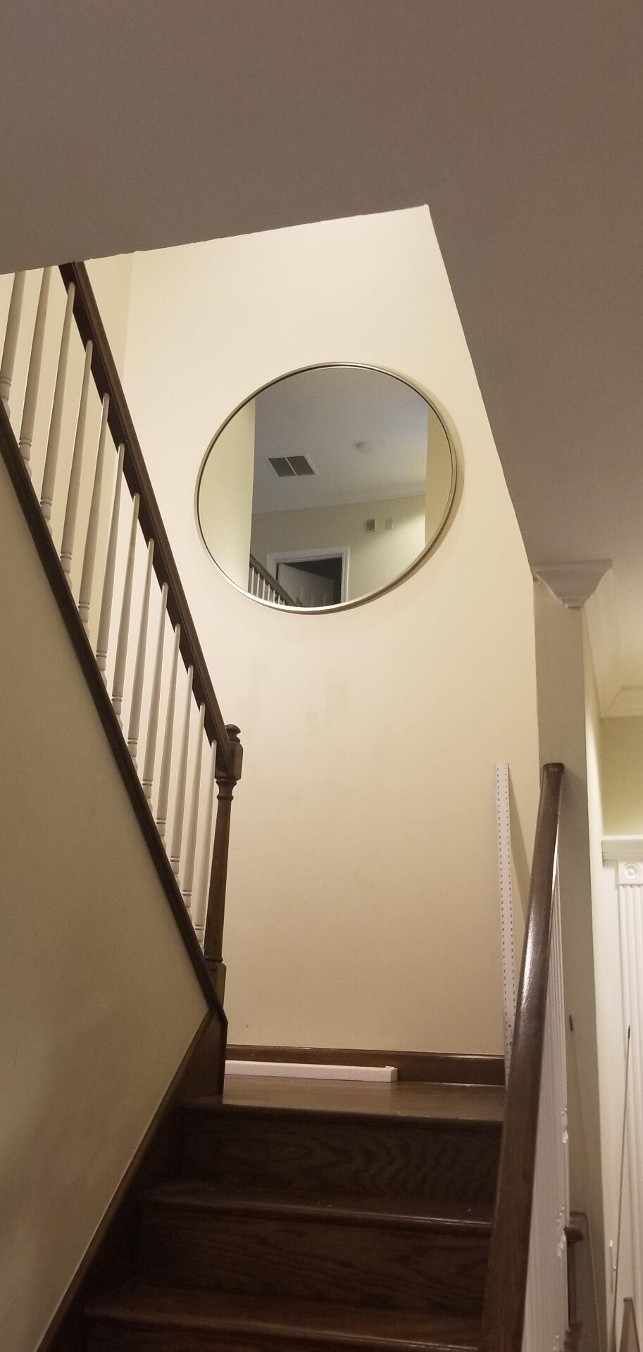 48in Mirror